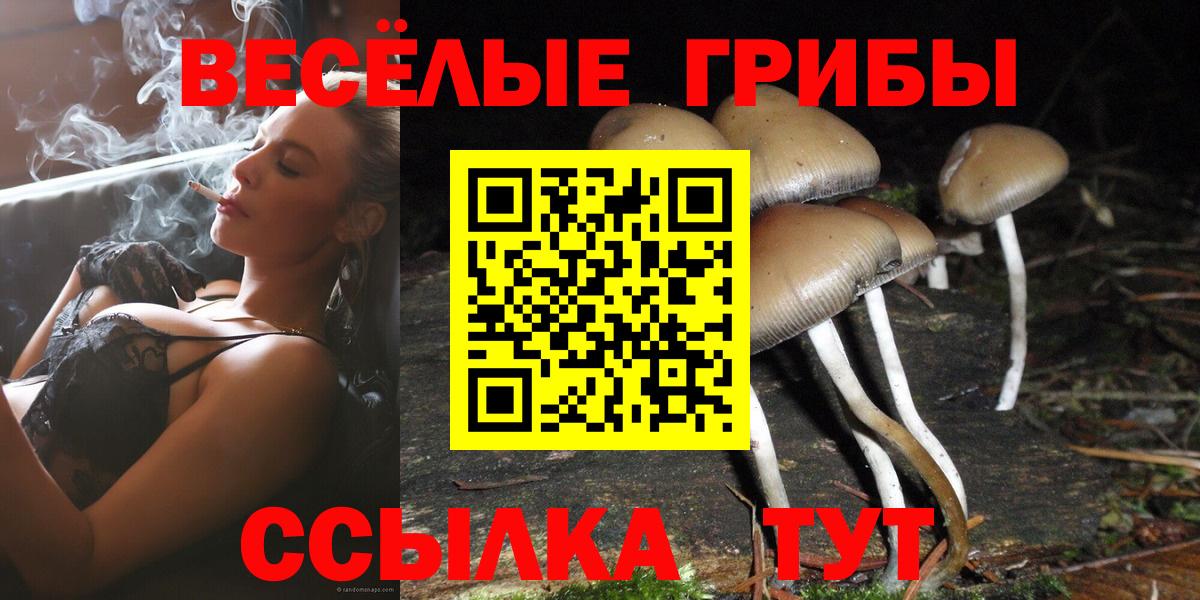 Галлюциногенные грибы MAGIC MUSHROOMS  Вход с VPN  Кириши 