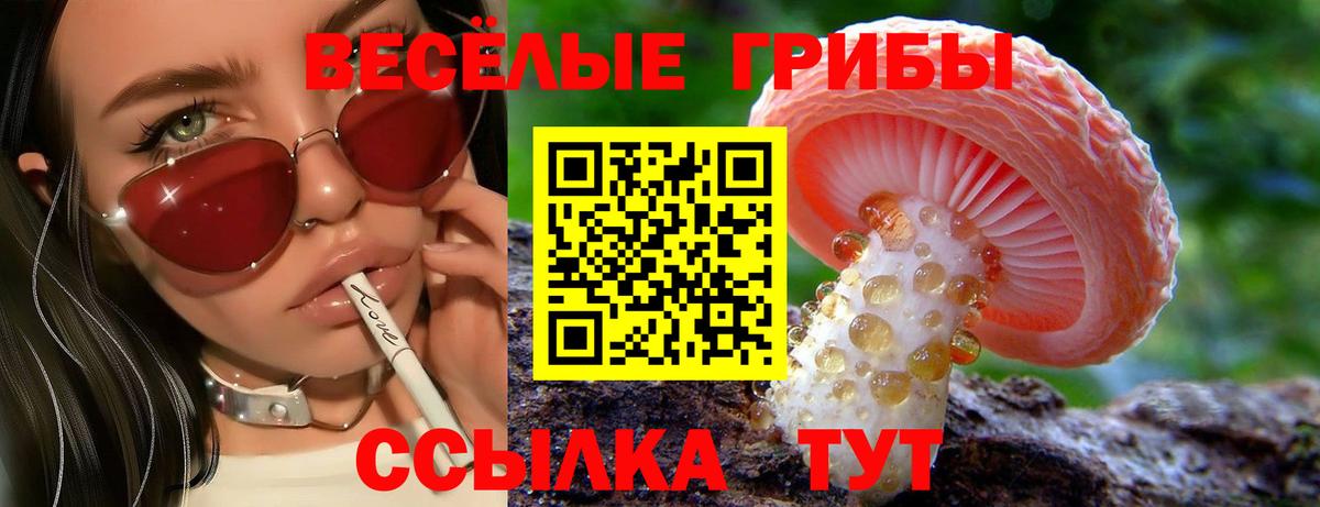 Псилоцибиновые грибы MAGIC MUSHROOMS Кириши